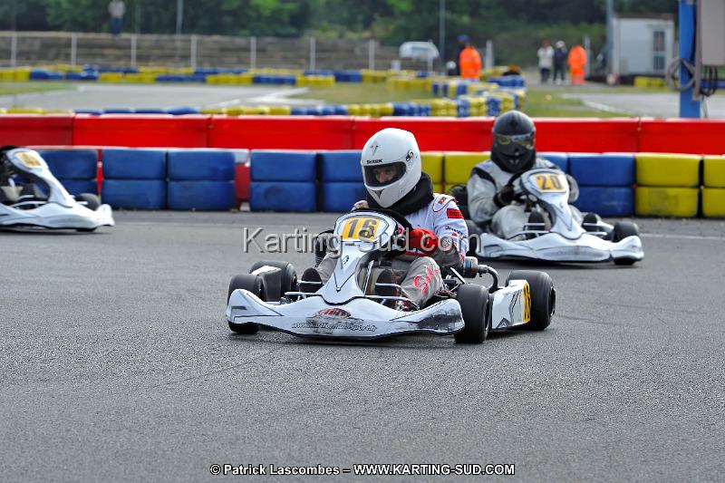 DSC_ (1225).jpg